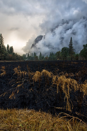 Photo: Burn by Ed Hughes Photo: Burn by Ed Hughes