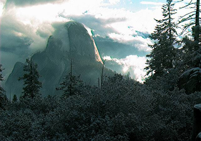 Photo: A light dusting of snow on the Manzanita and pine trees highlights a cloud shrouded Half Dome in the background. Photo: A light dusting of snow on the Manzanita and pine trees highlights a cloud shrouded Half Dome in the background.