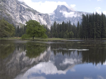 Half Dome and Cooks Meadow. Photo courtesy National Park Service.