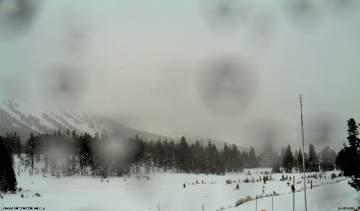Snowy Tioga Pass cam.