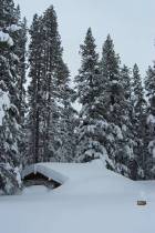 Tuolumne Meadows Ski Hut covered in snow. Link: Yosemite National Park NPS Website.